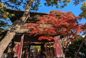 泉岳寺