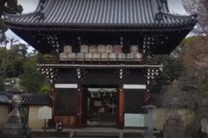 梅宮大社