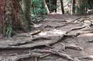 貴船