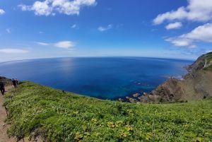 礼文島